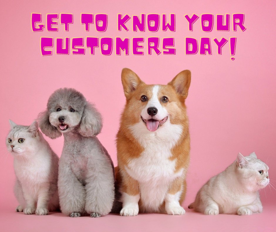 Pet_Connection's tweet image. As most of you will already know, we're much more concerned with getting to know our 4-legged customers than their 2-legged chauffeurs and servants 😆 So, what's your pet's favourite thing to do?

#gettoknowyourcustomersday #dog #cat #pet