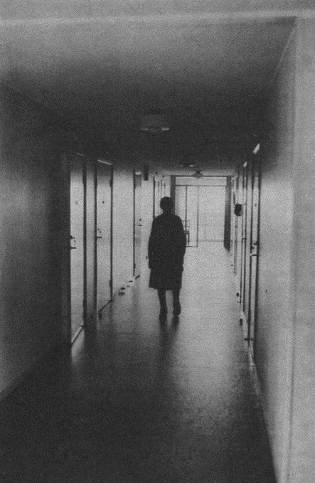 Archillect (@archillect) on Twitter photo 