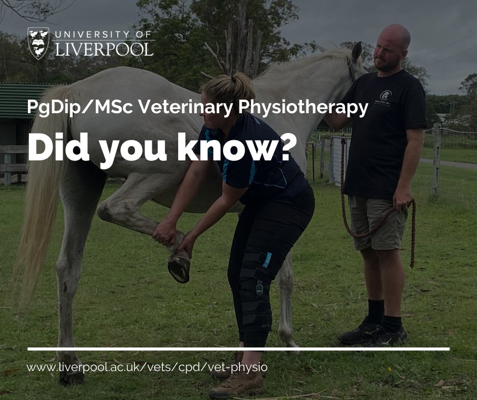 University of Liverpool Veterinary Physiotherapy (@LivVetPhys) / Twitter University of Liverpool Veterinary Physiotherapy (@LivVetPhys) / Twitter