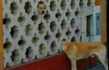 Goddie_Ke's tweet image. Huu mwaka nao naconfuse Pharisees, hawani understand😂