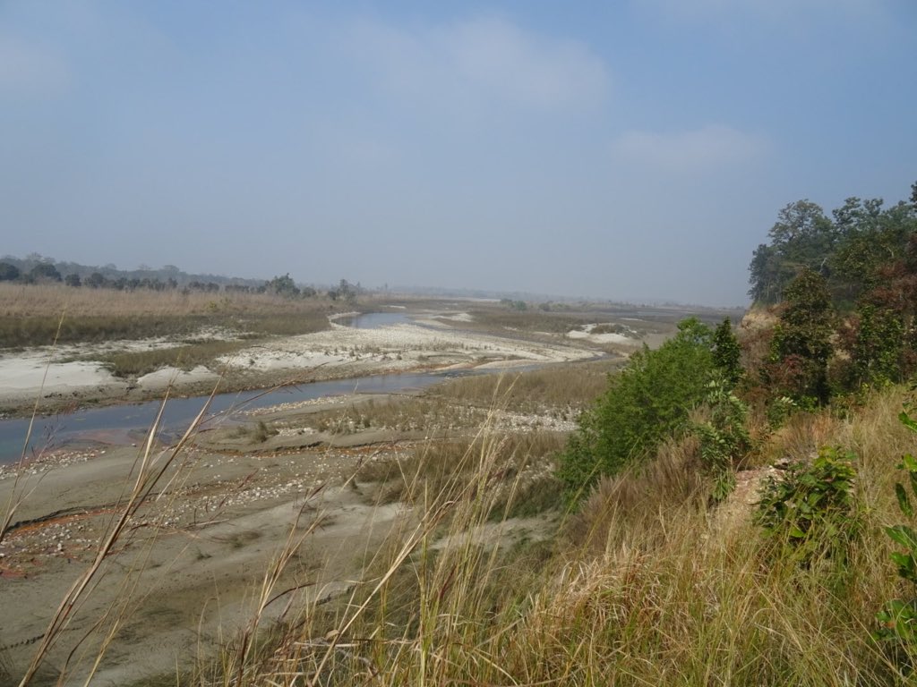 #BardiaNP maakt zijn naam als tijgerpark van #Nepal waar: Een tijger na 5 min….. Op de foto helaas alleen de pootafdruk. Een enorm park (956 km2) en rijk aan #wildlife met schitterende vergezichten over de #Karnalirivier, en 2 soorten krokodil vredig naast elkaar.<a href="/TigerTopsNepal/">#tigertops</a>