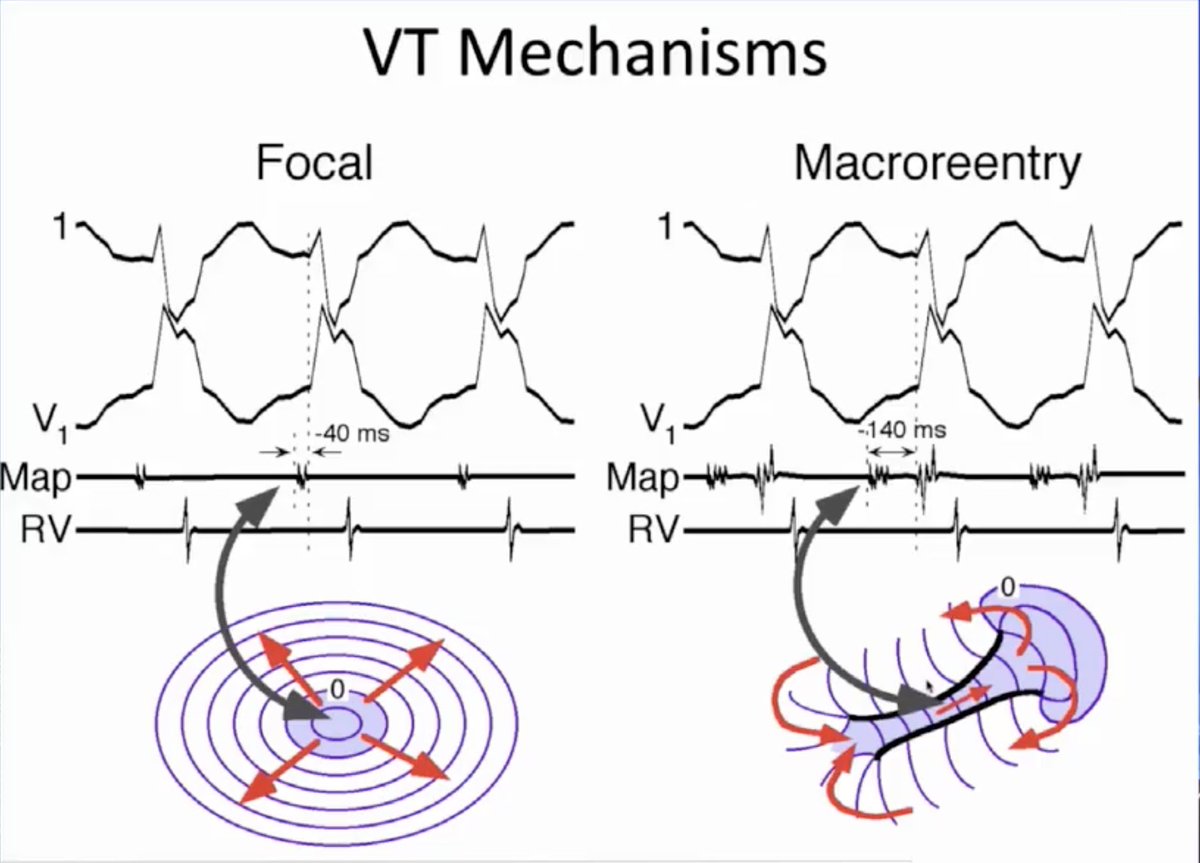 Dr. Zhong tweet media
