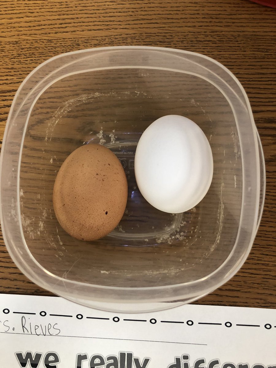 LindseyRieves's tweet photo. Making connections ❤️ Todays experiment related to us as people…we may look a little different on the outside, but inside we are all the same…a beating heart, a brain to think with, eyes to see with, etc. #KindnessMatters #noplaceforhate @HumbleISD_ESE https://t.co/qy7XK5d9Mt
