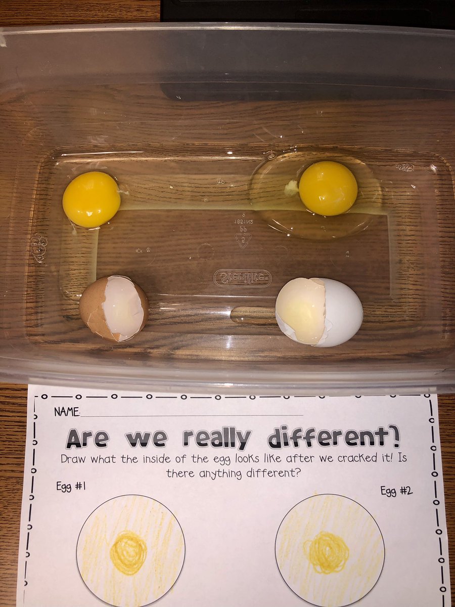 Making connections ❤️ Todays experiment related to us as people…we may look a little different on the outside, but inside we are all the same…a beating heart, a brain to think with, eyes to see with, etc. #KindnessMatters #noplaceforhate <a href="/HumbleISD_ESE/">Eagle Springs Elem</a>