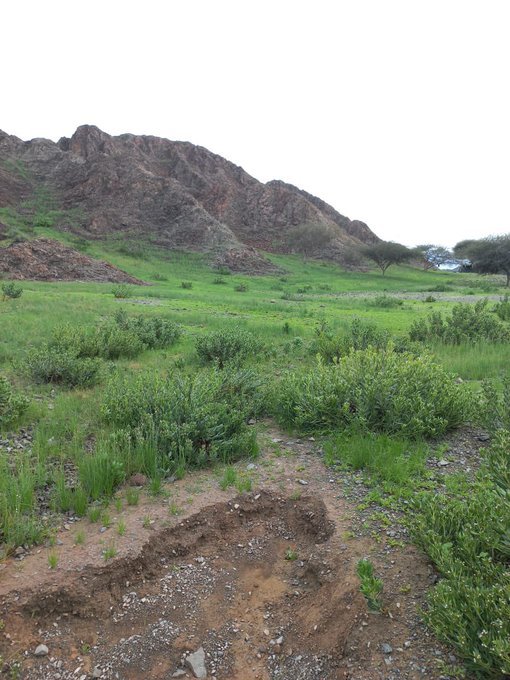 #عُمان 🇴🇲  مناظر من ولاية #لوى
2022-1-20م
📸 سالم الحمادي