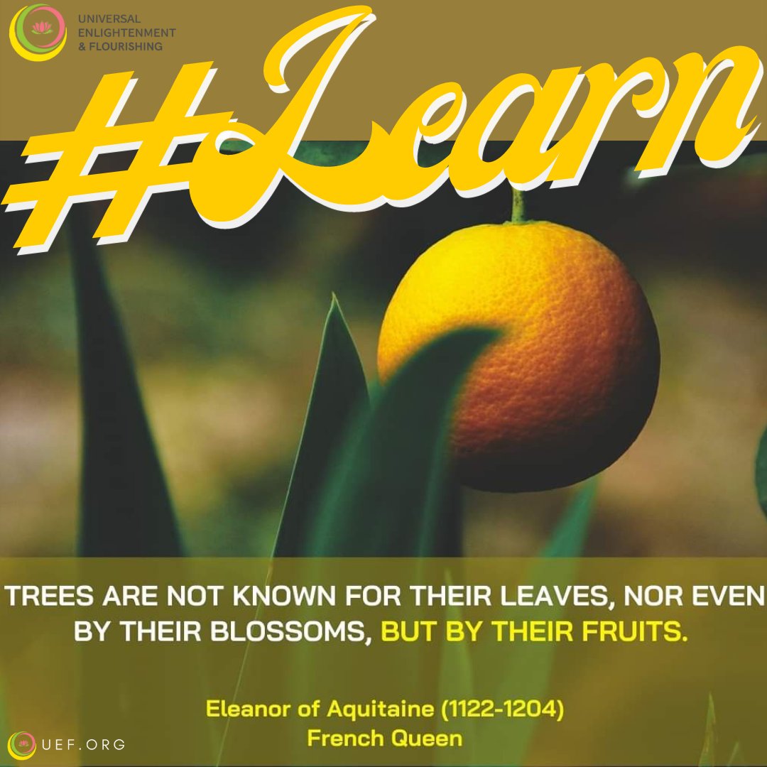 UEFinsights's tweet photo. How important is LEARNING in life? Our deepest #longings are only three: #Love, #Learn &amp; #Play. To live a life fully engaging in all three is to truly #flourish. Find out more at https://t.co/PseBJGTYCc • To Flourish is to Love, Learn &amp; Play •#learningisliving #learnforever https://t.co/qOjLll0A4u