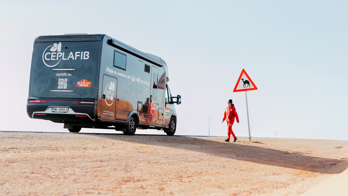 ceplafib tweet media