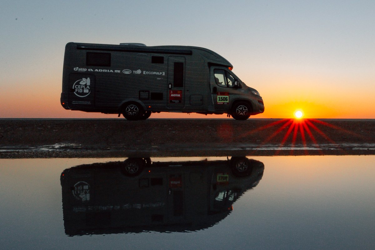 ceplafib tweet media