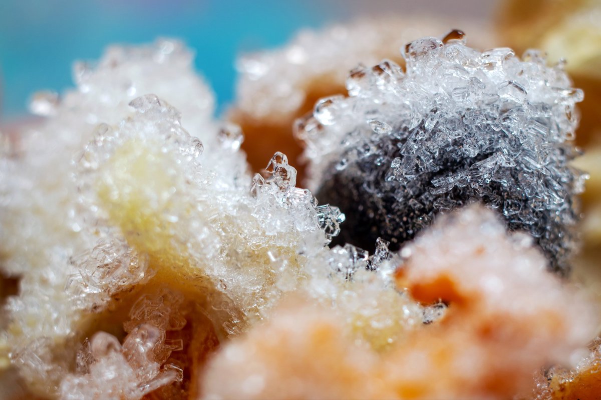 NickFed5's tweet image. Вот, что значит полная матрица не смотря, что скадрировал всё равно осталось довольно хорошее качество хоть и фотографировал на уже устаревший Canon EOS 6D. Мне лично картинка нравится, а Вам дорогие подписчики? (Canon 50 mm. f. 2,5 + macro кольцо). 
#макро #macro #иней #лёд