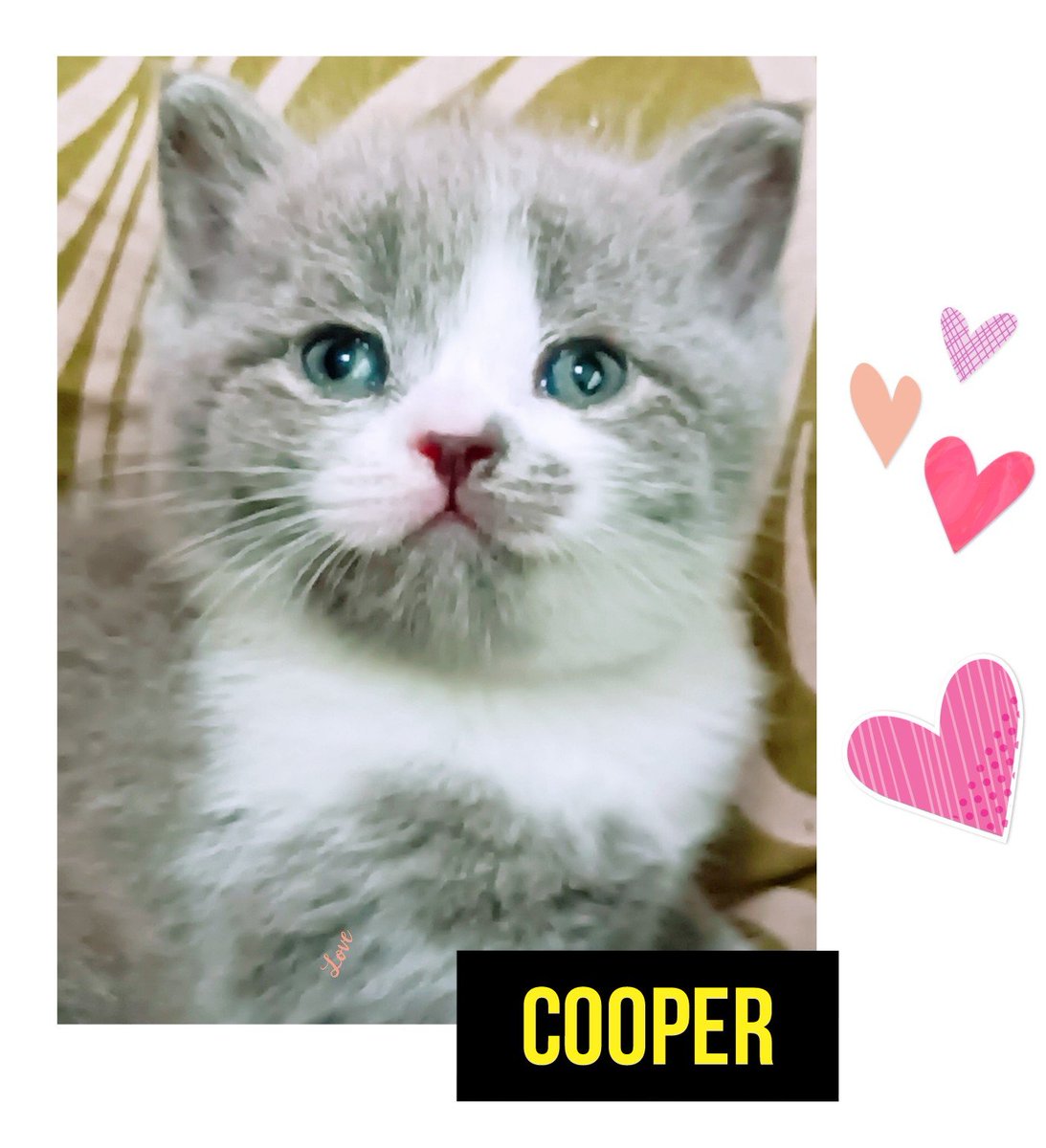 24 days
import parents
with peds