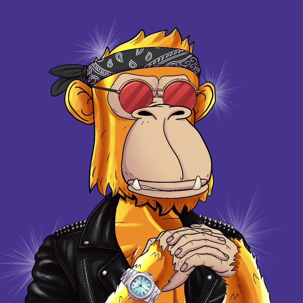 TimelessApeClub tweet media