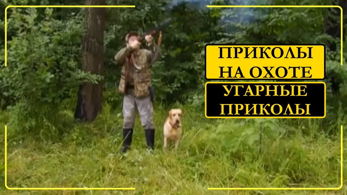TemurKim's tweet photo. Угарные приколы на охоте топ 5 видео 6 кадров

https://t.co/Efa8L44rKj

#угарное #приколы #приколынаохоте #комедия #юмор #охота #охотаприколы #подборкаприколов #приколыдослез #охотник #охотники #смех #ржака #ржач #прикол #охотарыбалка #охотаирыбалка #дослез #рыбалка #смешное https://t.co/uZAdCWOw0l