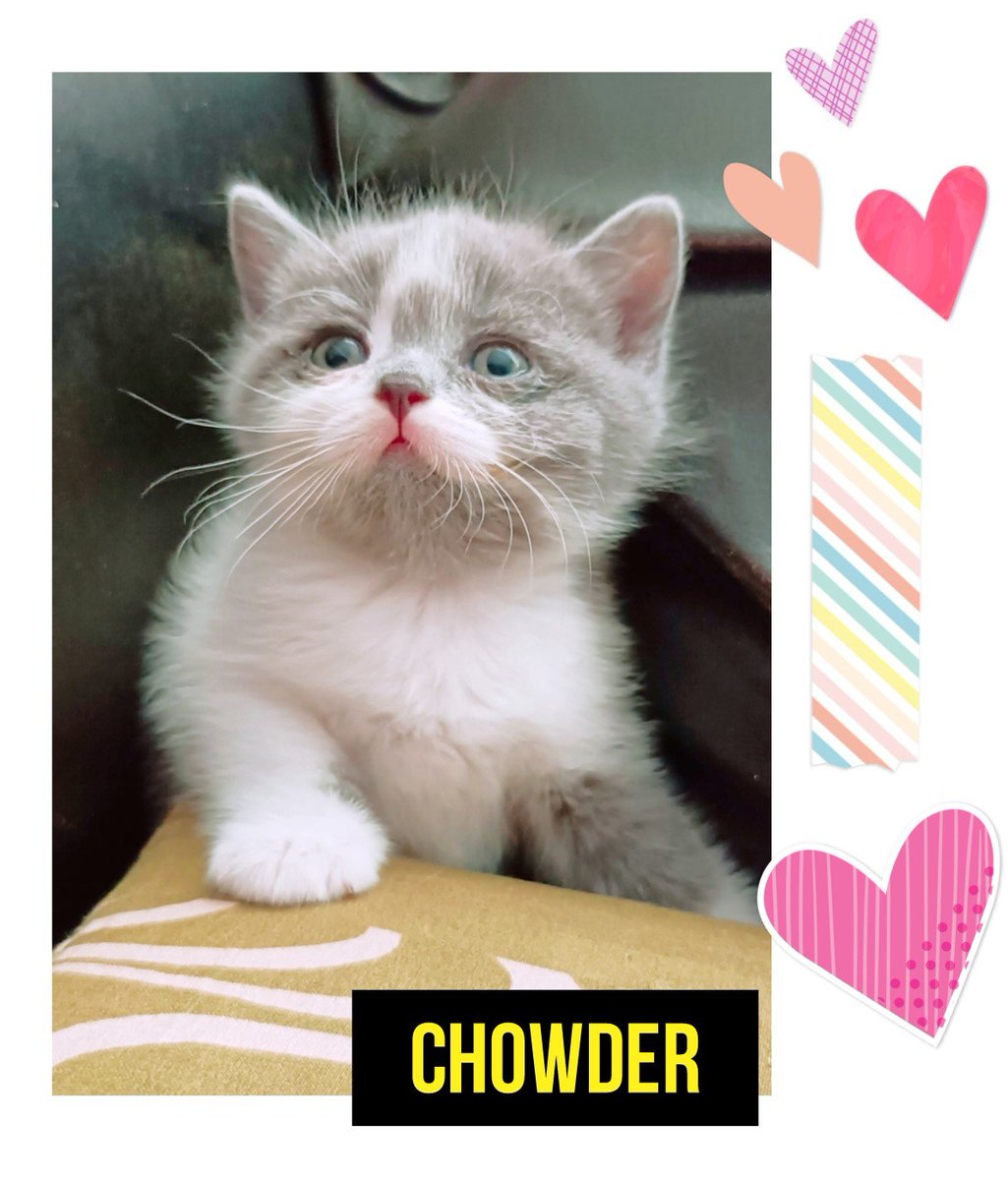 24 days
import parents
with peds