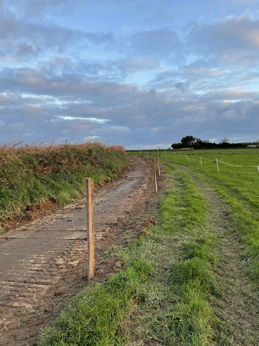 Un petit nettoyage des calleboutis et mise en place de la nouvelle clôture en fixe avant le grand départ de la saison de pâturage