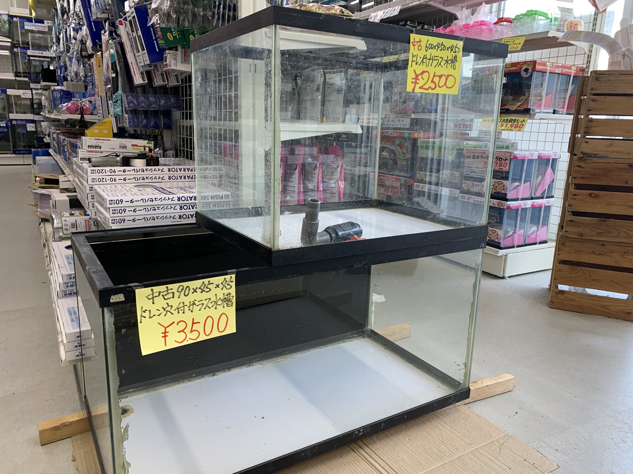 Twitter 上的 半田水園中川店 店用として使用していた中古水槽を販売中です ドレン付きなので予備水タンクとしても使い勝手いいかと思います 現在 60 45 90 45 1 45 各1本づつ在庫しています お探しの方はお早めにご来店ください 熱帯魚