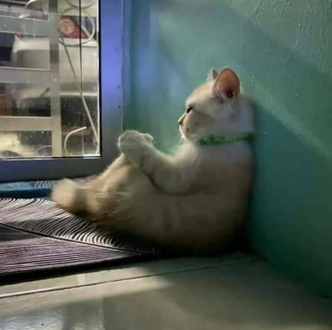 Alvinis_'s tweet photo. Dipikiran saat ini
"Mau sampai kapan kayak gini" https://t.co/uCaUiuJZQp
