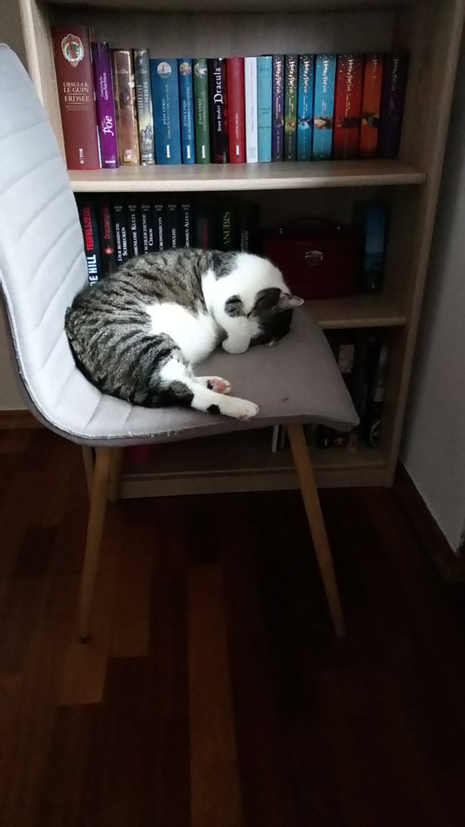 Katrin91Cat's tweet photo. I feel you, Izzy, I feel you

#Snickers #Reichelt https://t.co/HcNWrBWcY6