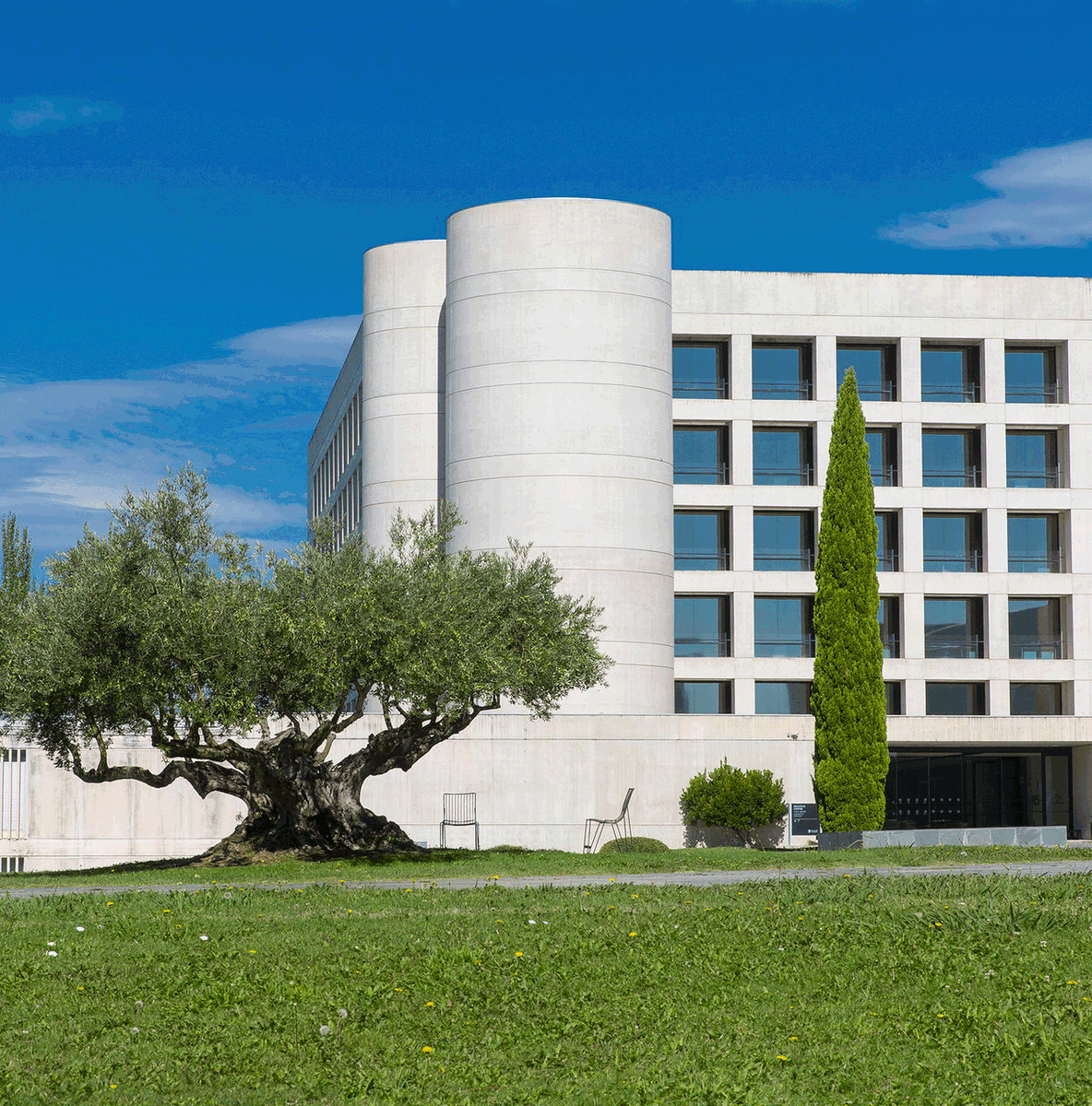 ¿Disfrutas de la belleza de nuestro campus de Pamplona? ¿Pasaste en él tus mejores años universitarios? 🌲🌳🌼🌺🌷
Ahora puedes votar los espacios verdes de la Universidad para que ganen el premio del público de <a href="/GreenFlagAward/">GreenFlagAward</a>.
🗓️ Hasta el 31 de enero.
👉 greenflagaward.org/park-summary/?…