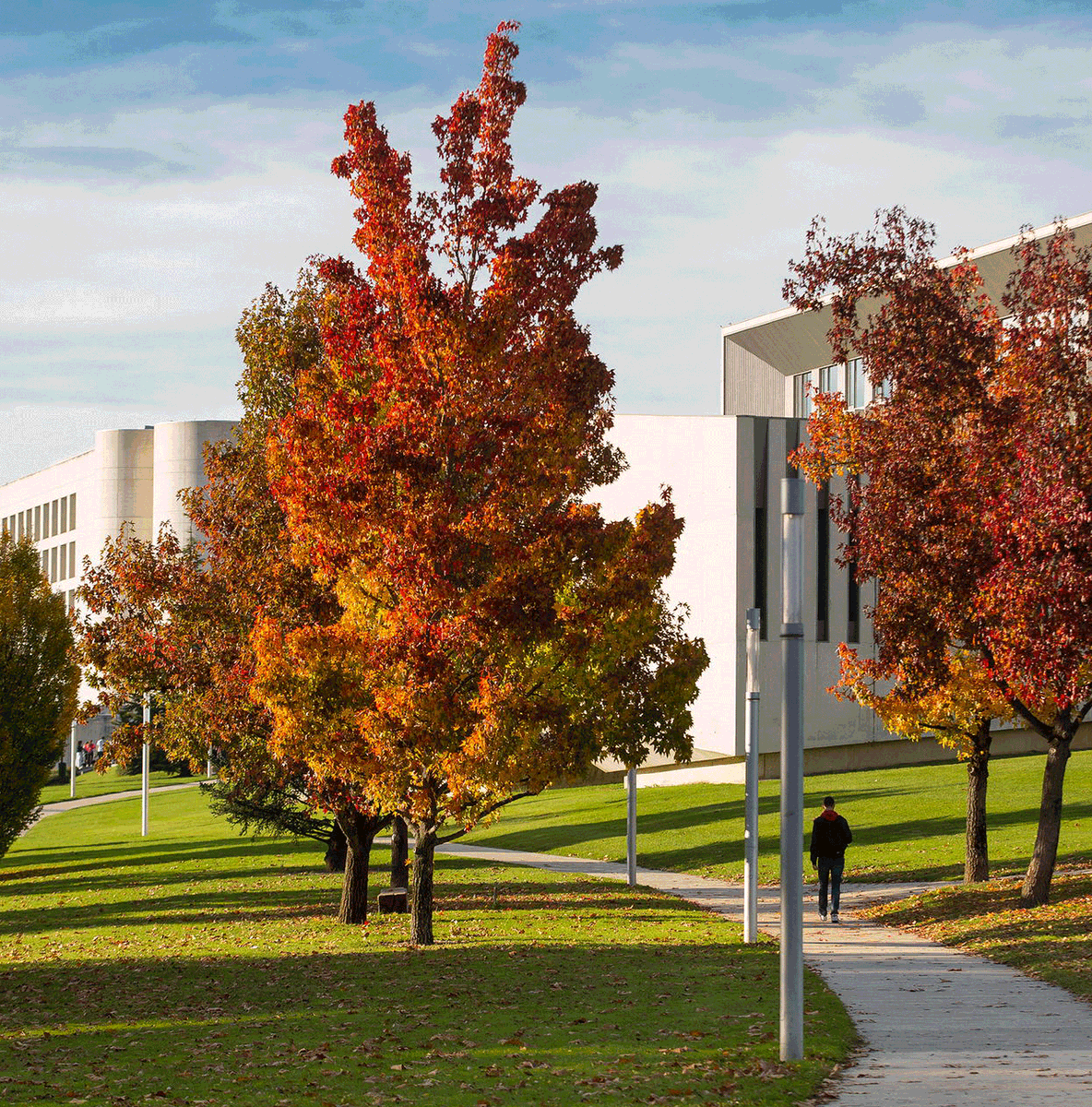 unav's tweet photo. ¿Disfrutas de la belleza de nuestro campus de Pamplona? ¿Pasaste en él tus mejores años universitarios? 🌲🌳🌼🌺🌷
Ahora puedes votar los espacios verdes de la Universidad para que ganen el premio del público de @GreenFlagAward.
🗓️ Hasta el 31 de enero.
👉 https://t.co/JtGWncly9Y https://t.co/tAOnNrwqEd