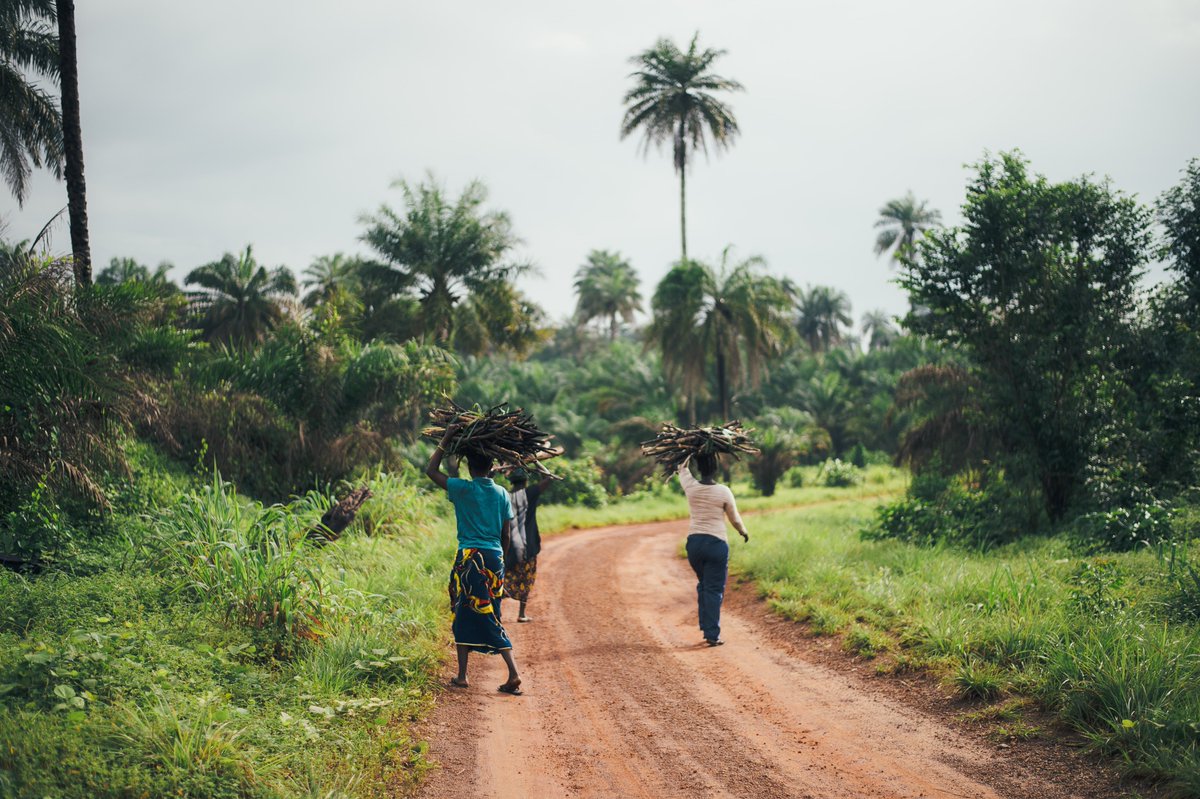 Climate Policy | climate-policy.bsky.social (@climate_policy) on Twitter photo OPEN ACCESS: Implementing stronger land tenure regulatory frameworks are critical for upscaling climate-smart agriculture (#CSA) practices and technologies in #Africa, say <a href="/SumitVij19/">Sumit Vij</a>, <a href="/MaazGardezi/">Maaz Gardezi</a>, and <a href="/Ogunyiola/">Ayorinde Ogunyiola</a>.
šRead it herešbit.ly/CSA-Africa OPEN ACCESS: Implementing stronger land tenure regulatory frameworks are critical for upscaling climate-smart agriculture (#CSA) practices and technologies in #Africa, say <a href="/SumitVij19/">Sumit Vij</a>, <a href="/MaazGardezi/">Maaz Gardezi</a>, and <a href="/Ogunyiola/">Ayorinde Ogunyiola</a>.
šRead it herešbit.ly/CSA-Africa