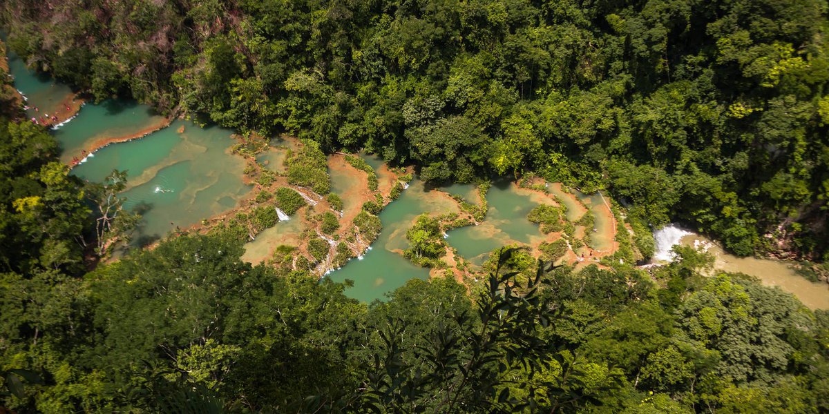 IUCN's tweet image. Done properly, investing in #NatureBasedSolutions can create jobs, fight climate change and aid economic recovery from the #pandemic.

Learn more ow.ly/yvTh50EIy4T