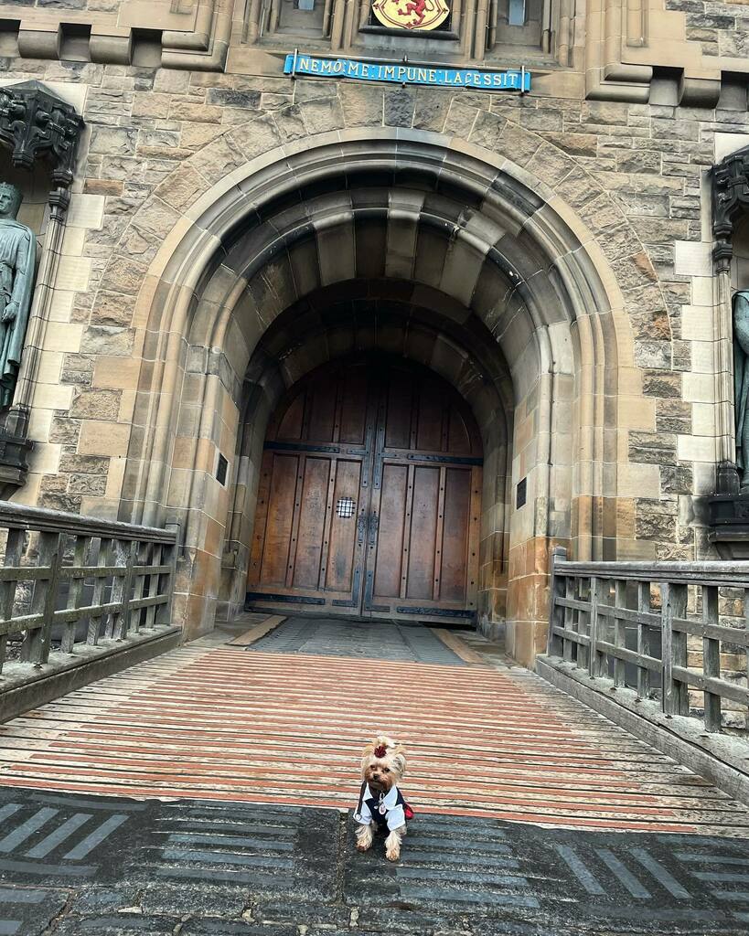 ‘I've got the key to my castle…but whether I can unlock the door remains to be seen’ 

#castledoor 
#edinburghcastle 
#castlesofscotland 
#castlesofinstagram 
#edinburgh 
#tinydogbigdoor 
#dogmodel
#smallestdog 
#smallestdogintheworld 
#smallestdogever 
#yorkshireterrier
#yo…