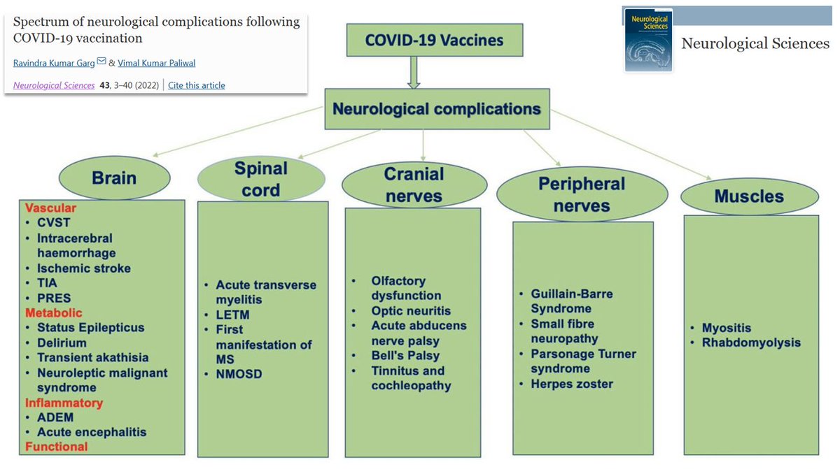 DrJohnB2's tweet image. Neurological complications following #CovidVaccination: link.springer.com/article/10.100…
Functional neurological disorders, cerebral venous thrombosis, intracerebral hemorrhage, post‑vaccinal encephalitis, neuroleptic malignant syndrome, acute disseminated encephalomyelitis, ...