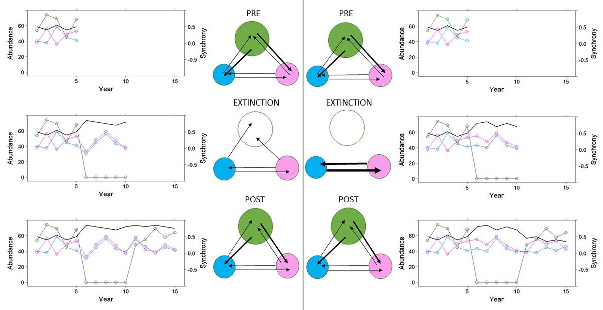 Oikos_Journal's tweet photo. IGNITE PAPER: Population extinction and metapopulation synchrony: a reassessment
https://t.co/CAws47grAR
@WileyEcolEvol @NordicOikos #ecology #dispersal #landscape #recolonization #butterfly #Parnassius #Moraneffect https://t.co/8nD3HhUhfq