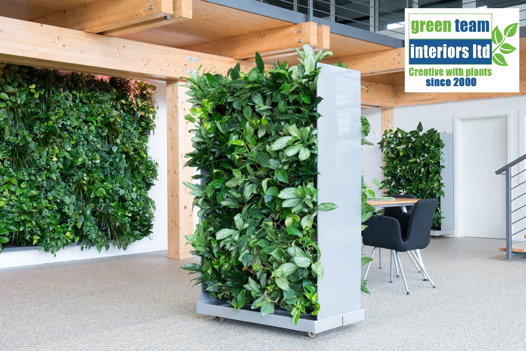 Plant_HQ's tweet photo. Our Green Screens were so popular in 2021 – take a look at our brochure on our website if you need dividing screens, but would like something a bit prettier and more beneficial!
https://t.co/cqoCLdbKon
#greenteaminteriors #plantsatwork #officescreen #officedesign #plants https://t.co/MwtF68de1N