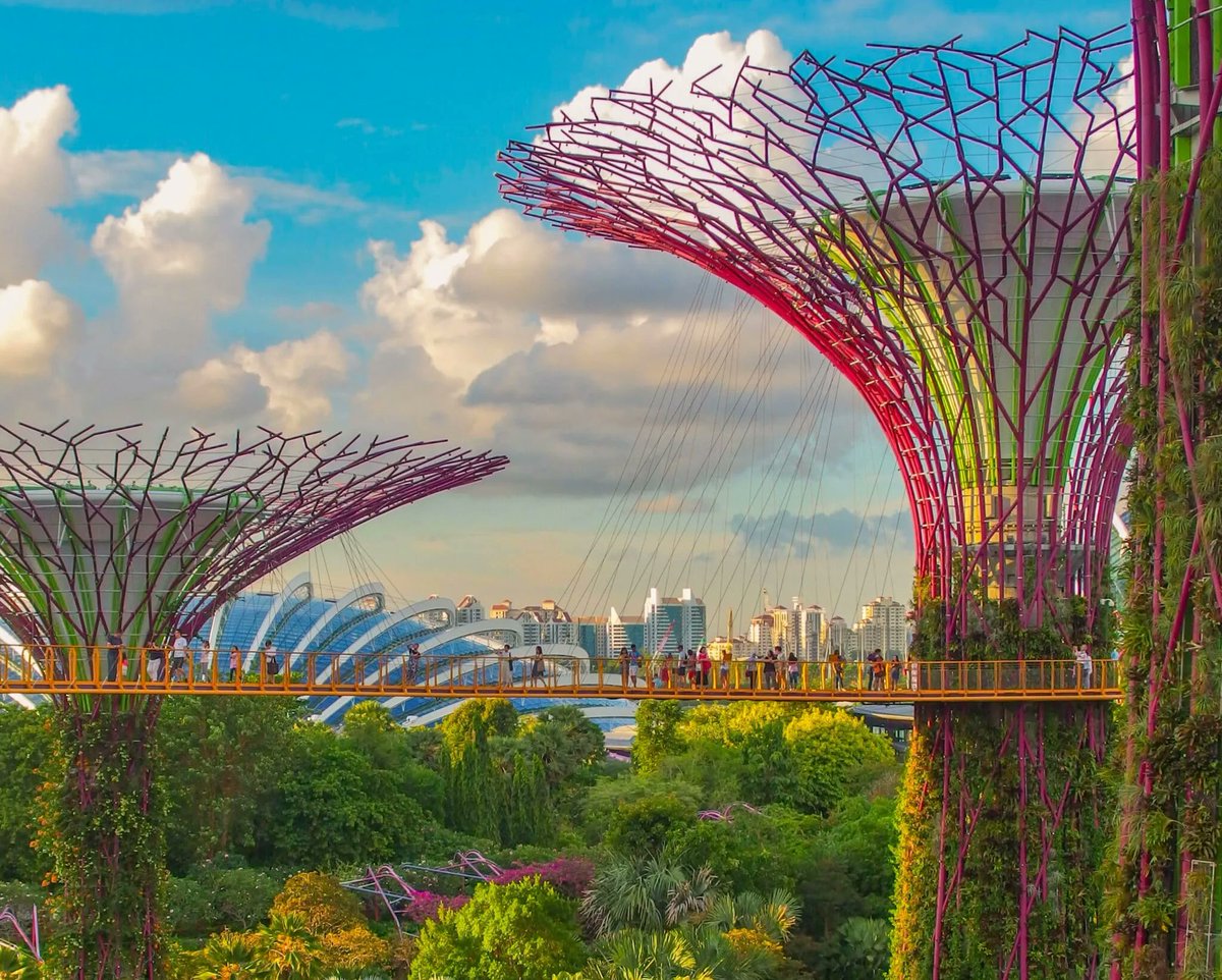 we_are_upstart's tweet photo. Great example of #Biomimicry ☀🌳⚡
What Are Solar Trees, and Could They Replace Solar Panels? - EcoWatch https://t.co/DHGGg9GaJY #sustainability #solartrees #renewableenergy #solarenergy https://t.co/Drxg2VCIov