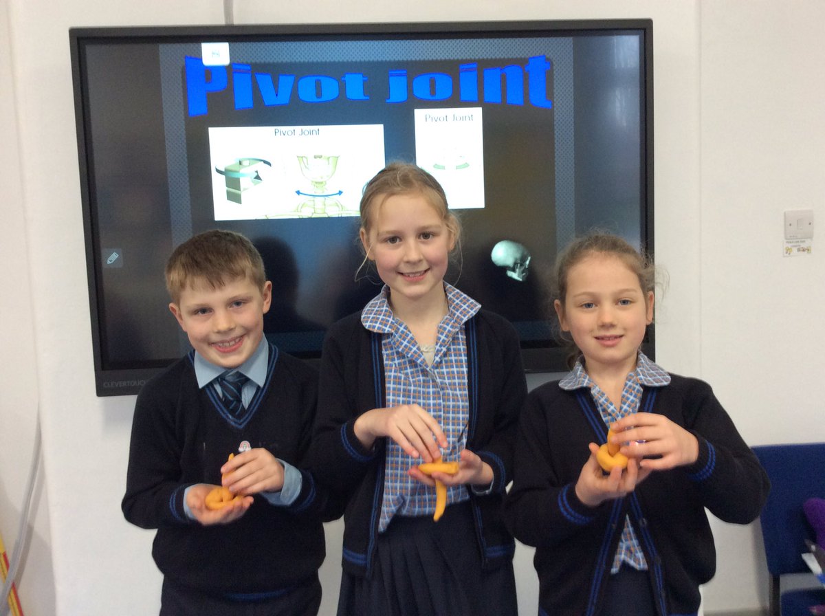StMargs_Year3's tweet photo. Great work @StMargs_Year3! Super playdough models of some of the different joints in our bodies! @StMargaretsPrep #StMargsScience #OurSkeleton https://t.co/BLfHMpkwSu
