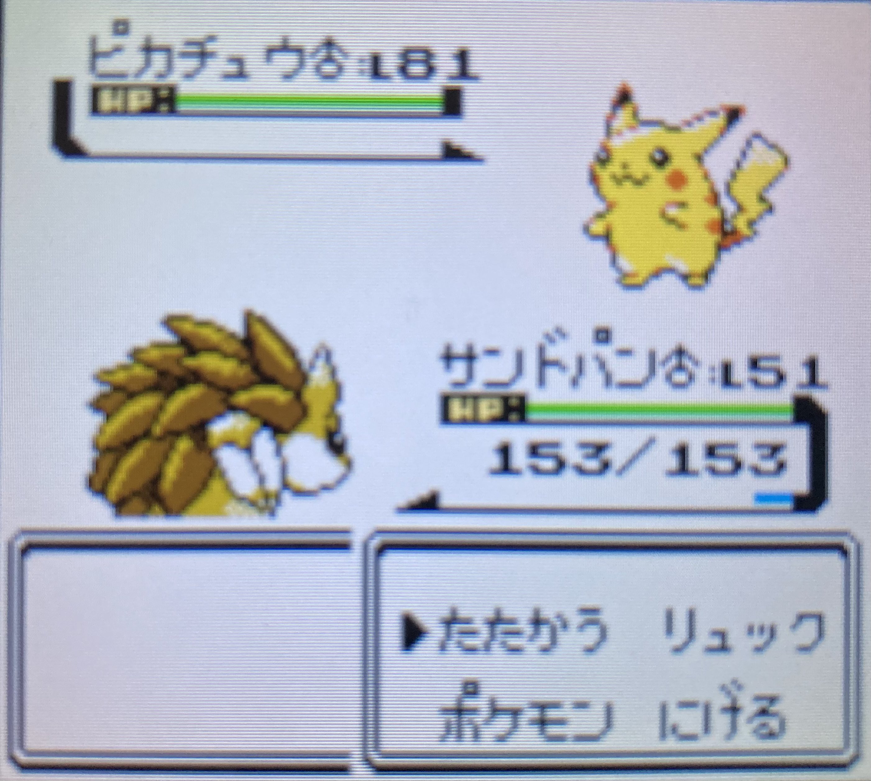 تويتر ポケモンクリスタル البحث في تويتر