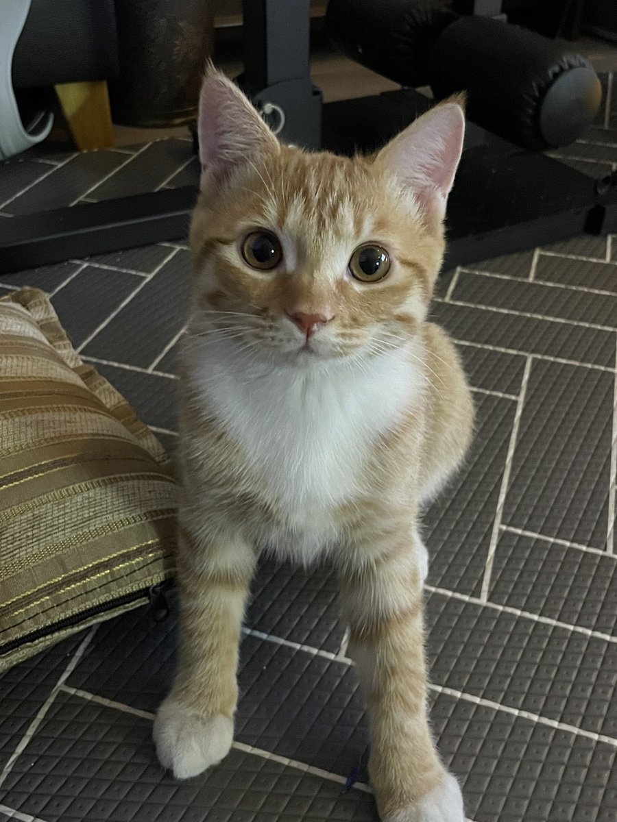 얼딩동글 초딩동글