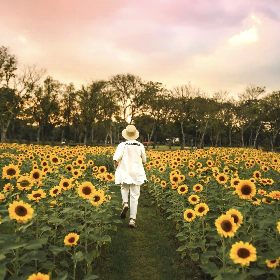 เปิดแล้วมุมถ่ายรูปใหม่ ถ่ายรูปกับทุ่งทานตะวันแบบชิคๆที่สวนรถไฟ รูปปังอลังแน่นอน ตลอดเดือนมกราคม จะเป็นทุ่งดอกทานตะวัน เบิกบานรับความสดใสต้นปี 
บอกเลยว่าห้ามพลาด อย่าลืมไปเชคอินกันนะ

ติดตามอิทได้อีกช่องทางที่ 
Instagram : instagram.com/tchob_tchob