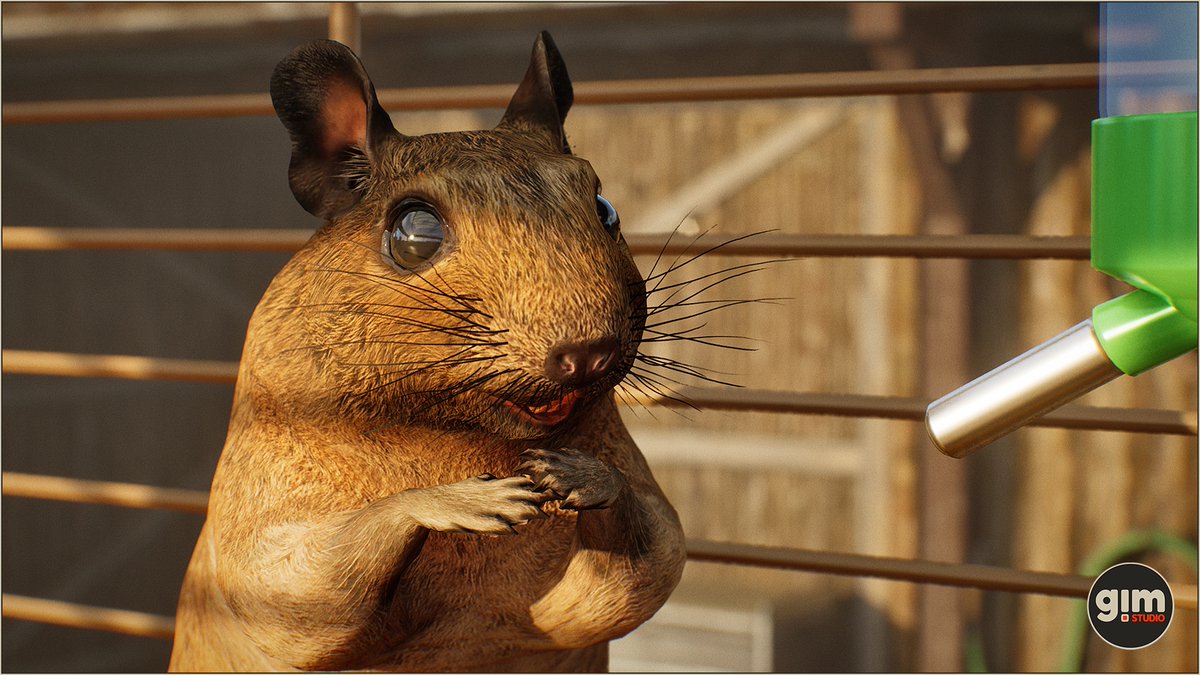 GiManimations's tweet photo. #degu #rat #animalia #gameart #UnrealEngine #unity3d https://t.co/UTdvk5kqog