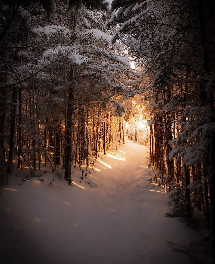 Great Smoky Mountains National Park
© Adam Williamson
