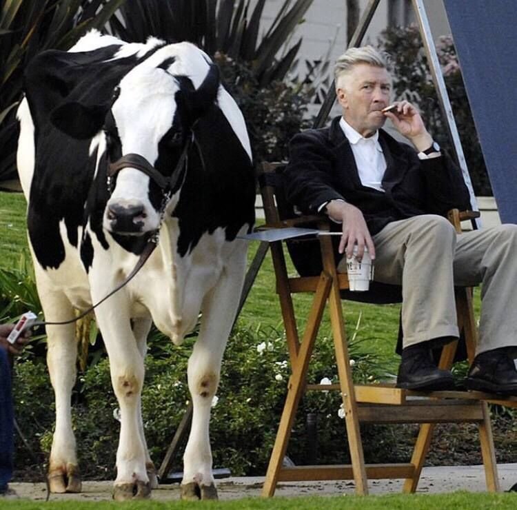 Happy birthday to David Lynch 