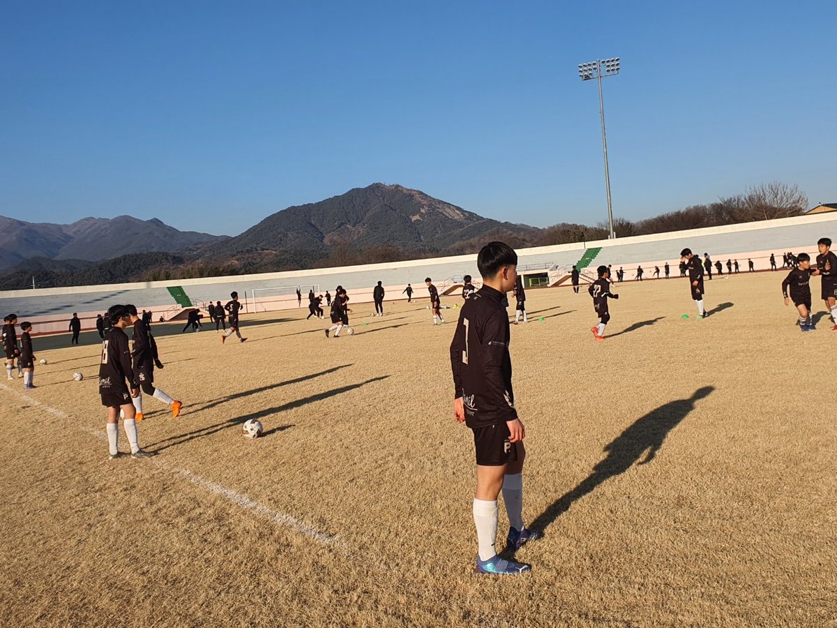 FCPotential tweet media