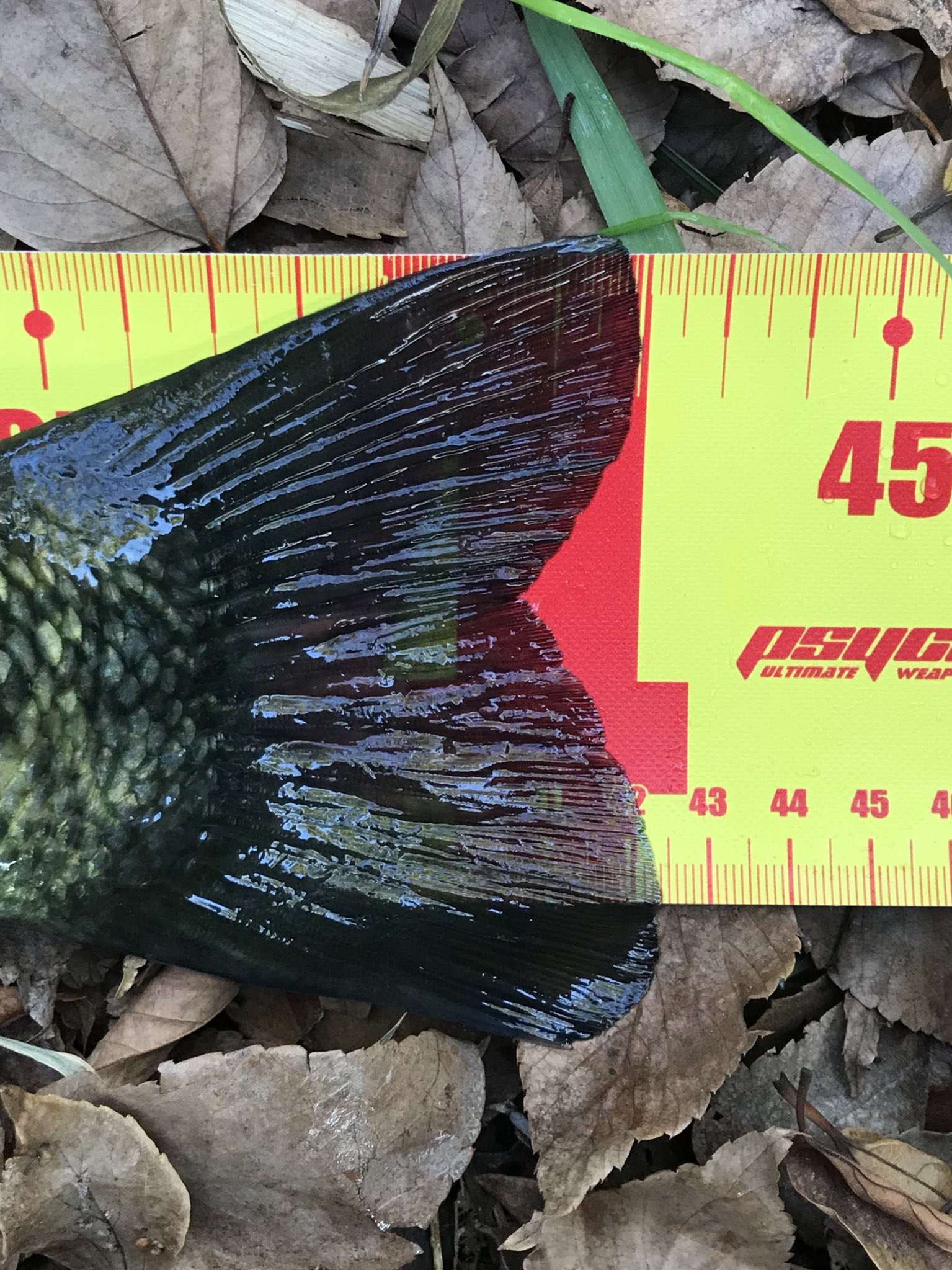 バス釣りにハマったアラフォー 21 7bassfishing Twitter