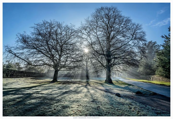 Misty sunny mornings are fantastic for an early morning run!

Are you a morning or evening runner?

📷 Gary Pearson Photographyhttps://www.facebook.com/runsandringham/photos/a.122182865892060/660060745437600/?type=3