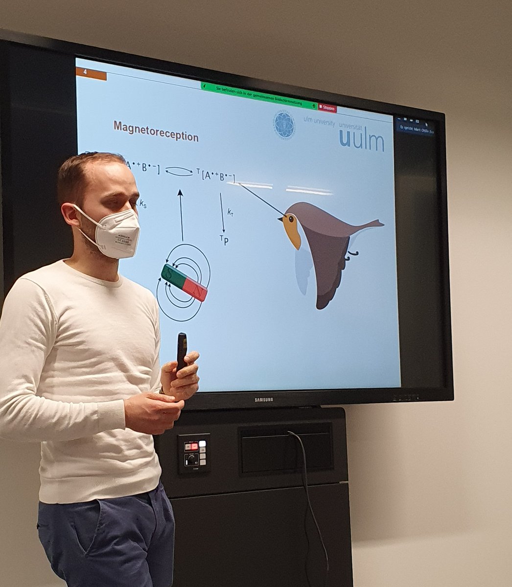qubit_ulm's tweet photo. It's that time of the year again! 🥳 As per tradition, we welcomed bachelor and master students to take part of a tour of the institute, and we gave small presentations about the activities of the group #uniulm #quantumbio #quantumthermo #nanomechanics #openquantumsystems https://t.co/Hicy8b1ffh