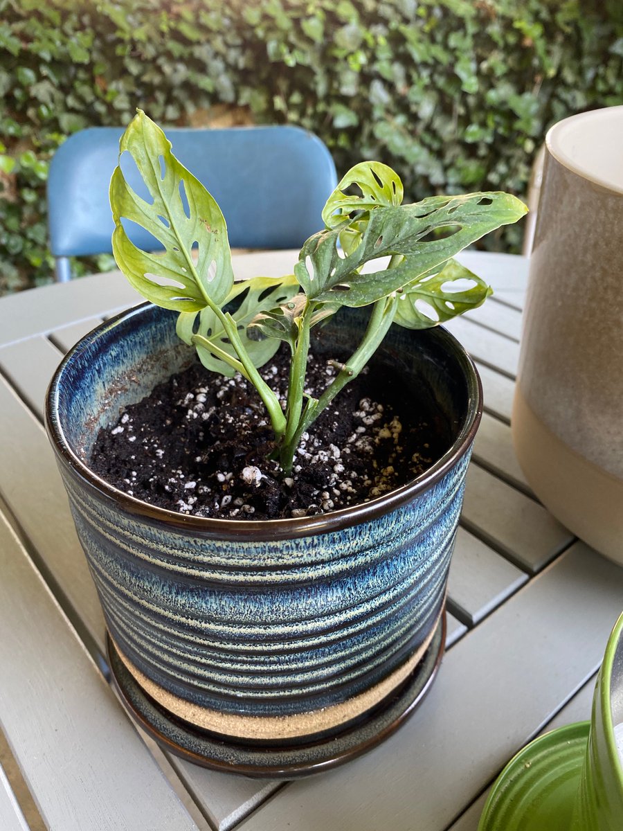 Nel Escher tweet media