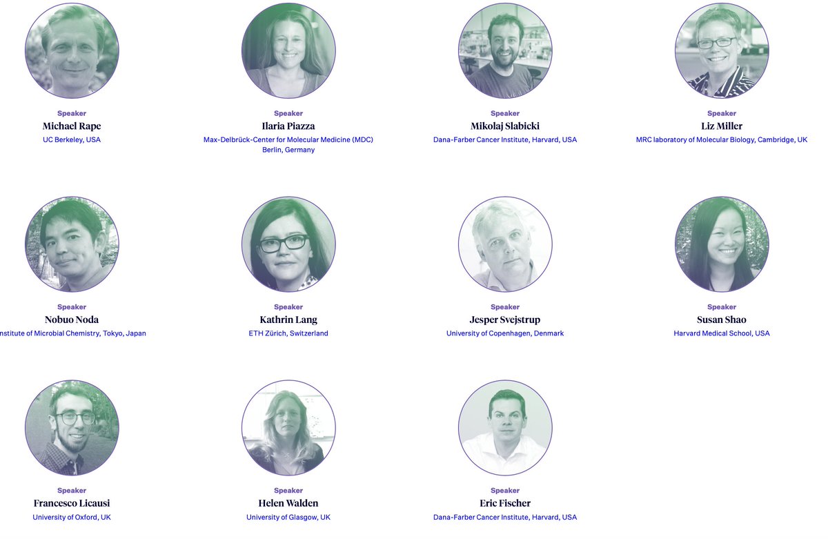 SFB Targeted Protein Degradation tweet media