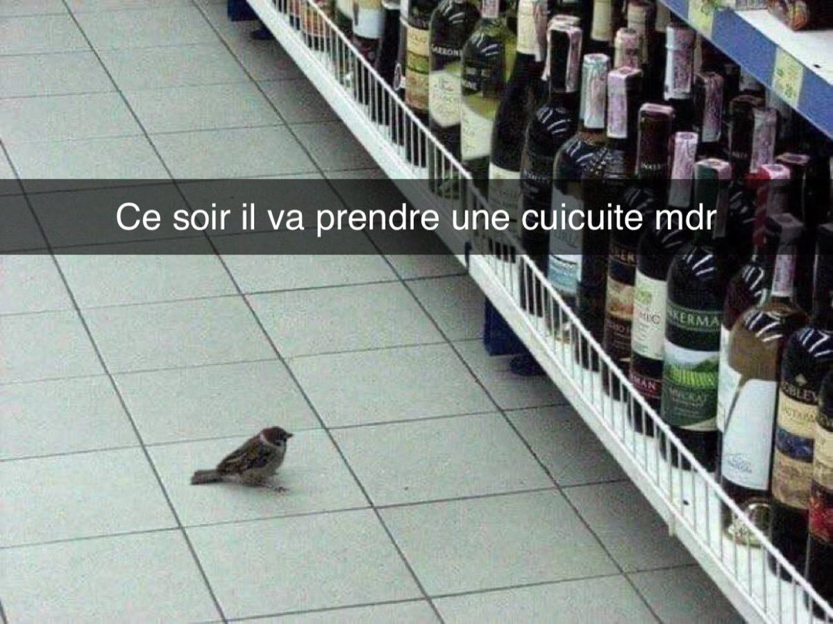 _IDVL's tweet image. 