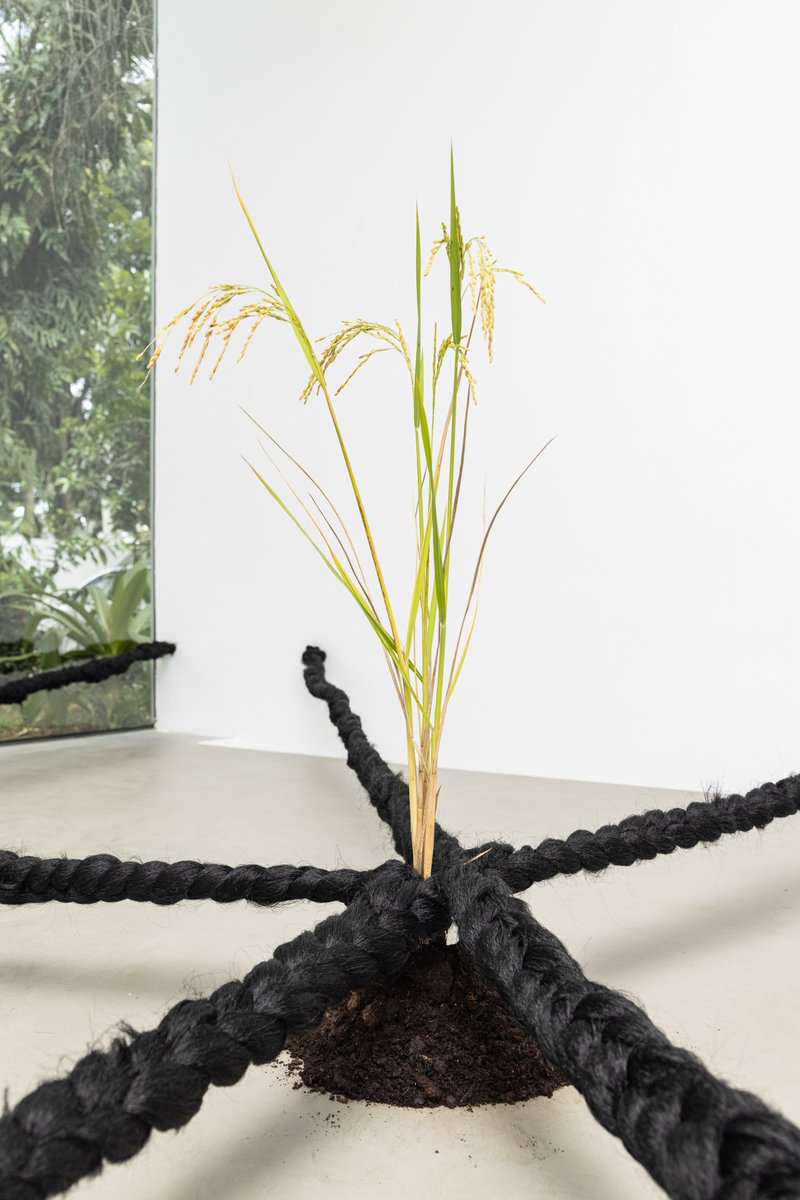 "Dïà s p o r a", la première exposition personnelle de Binta Diaw  à la Galerie Cécile Fakhoury - Abidjan , dans le Project Space est prolongée jusqu’au 19 février 2022.