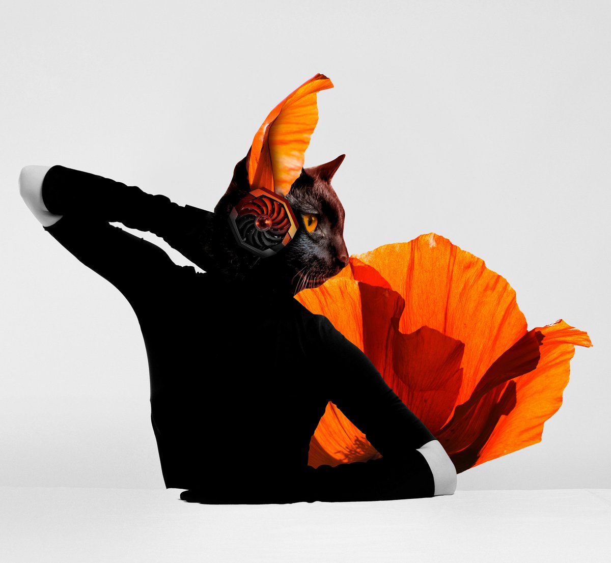 MoonaLuna_eth's tweet photo. Hey #NFTCommunity 
Ninja Cat is my own cat🐈‍⬛
I wish i could see the world as my pets do,because i think everything is more beautiful in their sight. Right??
#NFT
👇🏽Ninja Cat Lady👇🏽
https://t.co/cvtsUNoTGZ https://t.co/Q0ghIyRVv8