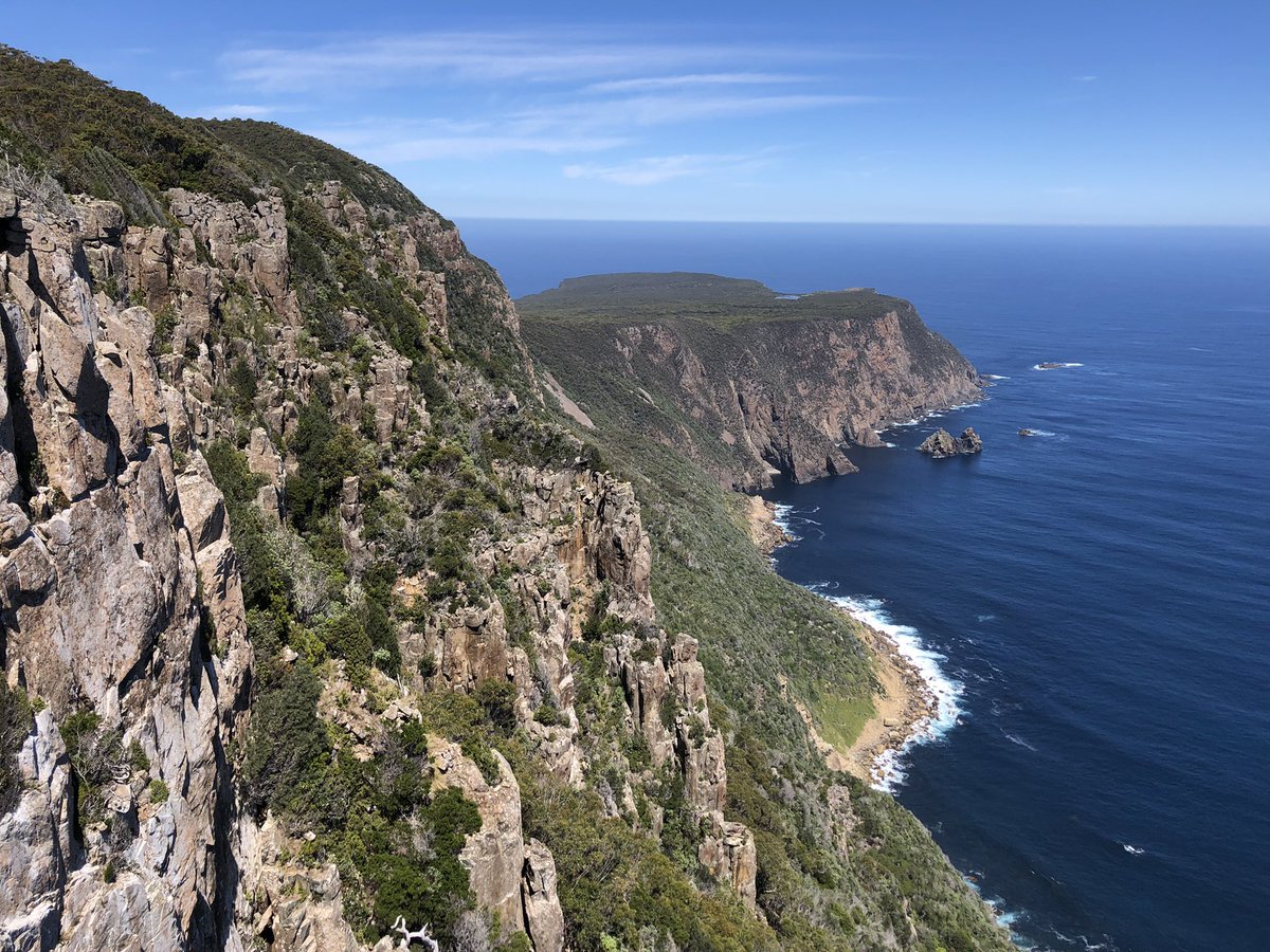 Sabra Lane tweet media