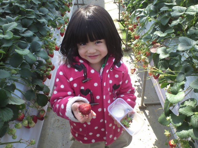 苺ひなのTwitter画像18