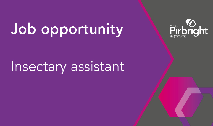 Pirbright_Inst's tweet photo. 🦟🚨🦟We're hiring an #insectary assistant! You will be a member of the @AlpheyLab (https://t.co/kGouolqTMJ), responsible for assisting with core operations of rearing, breeding & studying insects, primarily #mosquitoes
Apply by 2 Feb (Job ref. 22P-05) ➡️ https://t.co/e1mCOPmhZs https://t.co/FSfebLYhxz