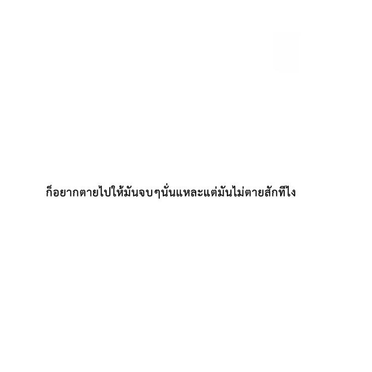 Who_o tweet media